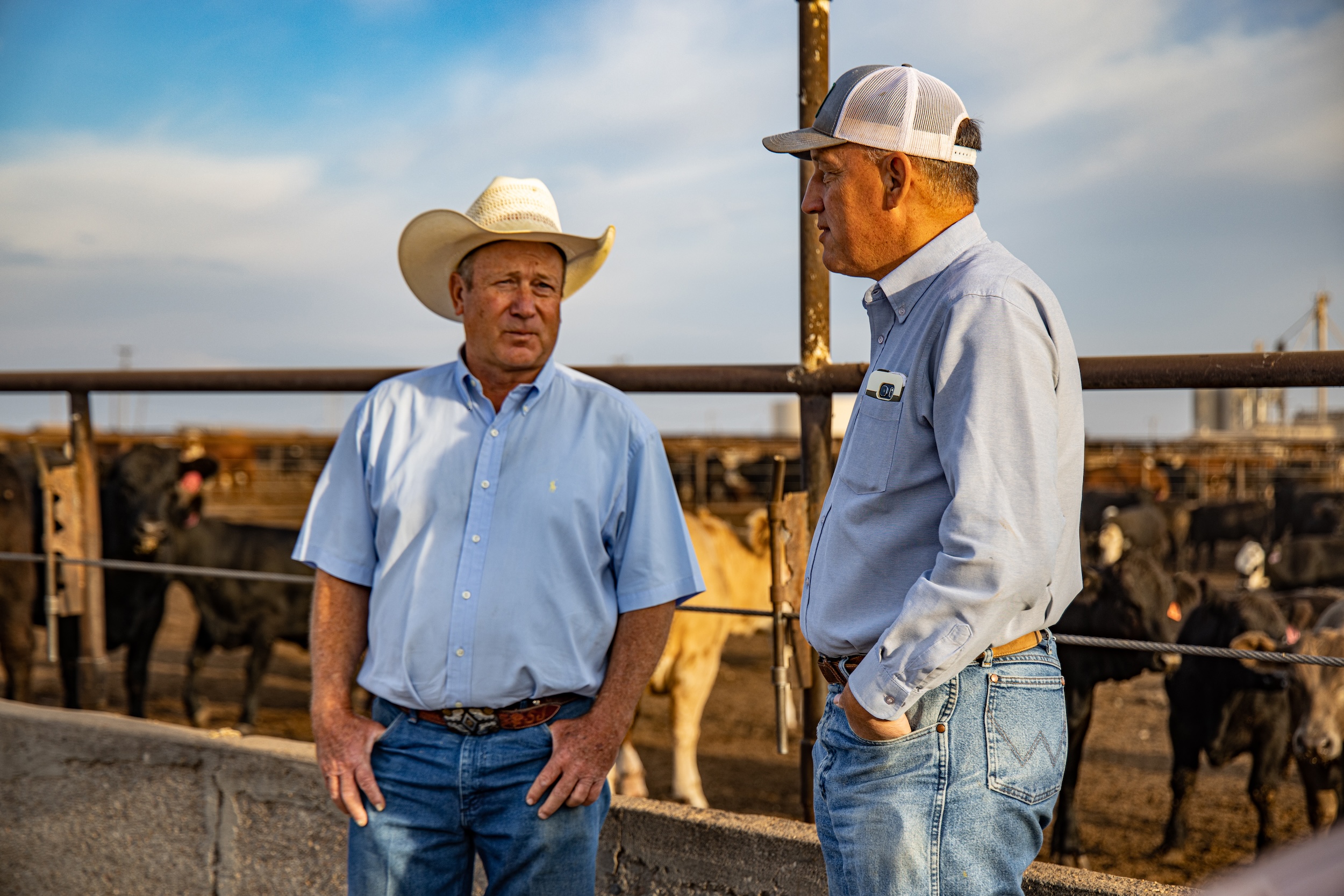 Offers & Events | Datamars Livestock