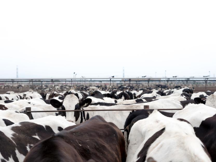 Unseen but Costly image.jpg