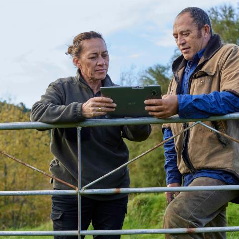 Two farmers looking at Datamars Livestock application on a farm fence