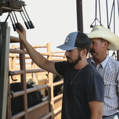 Farmers measuring performance