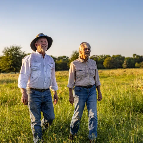 Farmers in a field