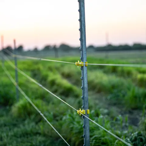 Fence and field