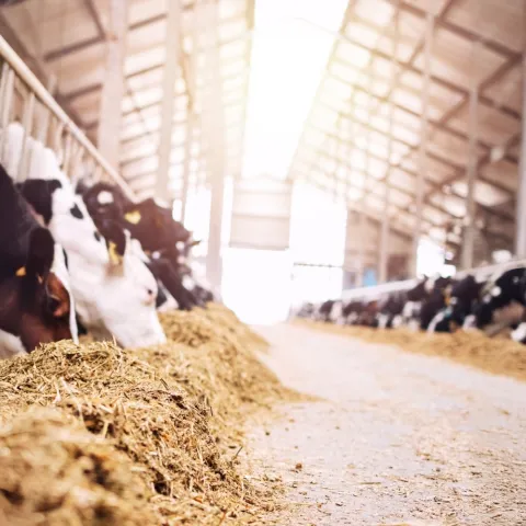 Better Decisions Through Connected Data image.png