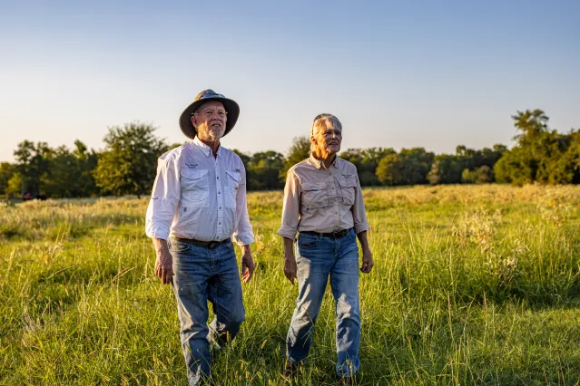 Farmers in a field