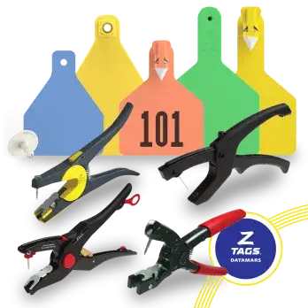 Tagger Rebate poster